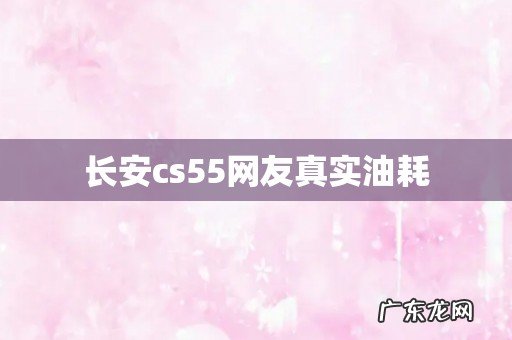 长安cs55网友真实油耗