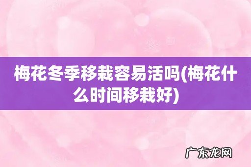 梅花什么时间移栽好 梅花冬季移栽容易活吗