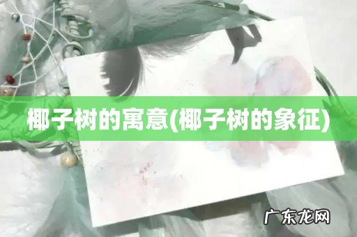 椰子树的象征 椰子树的寓意