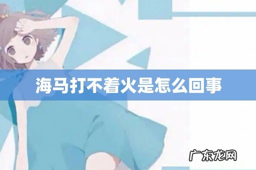 海马打不着火是怎么回事