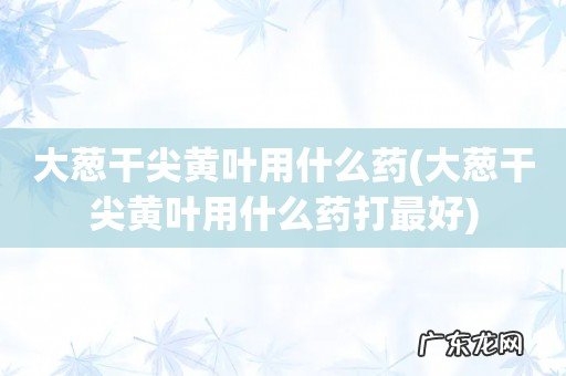 大葱干尖黄叶用什么药打最好 大葱干尖黄叶用什么药