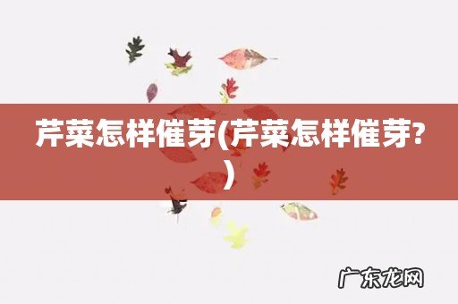 芹菜怎样催芽? 芹菜怎样催芽