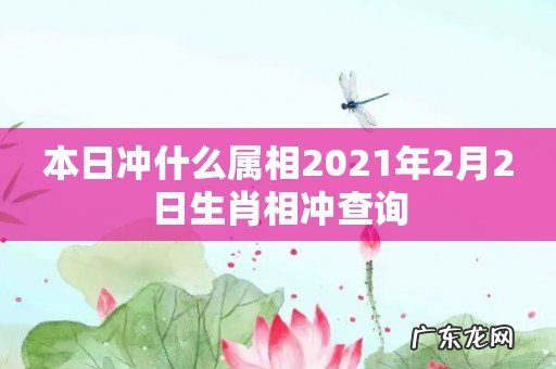 本日冲什么属相2021年2月2日生肖相冲查询