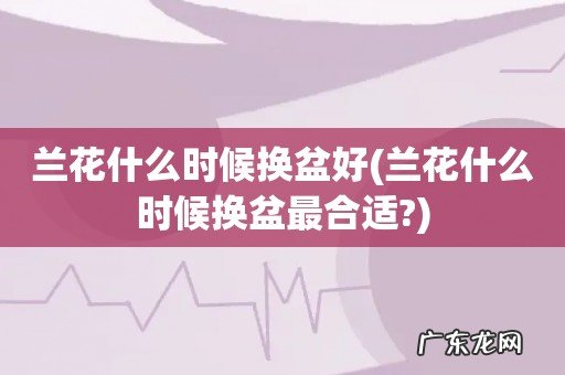 兰花什么时候换盆最合适? 兰花什么时候换盆好