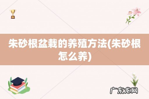 朱砂根怎么养 朱砂根盆栽的养殖方法