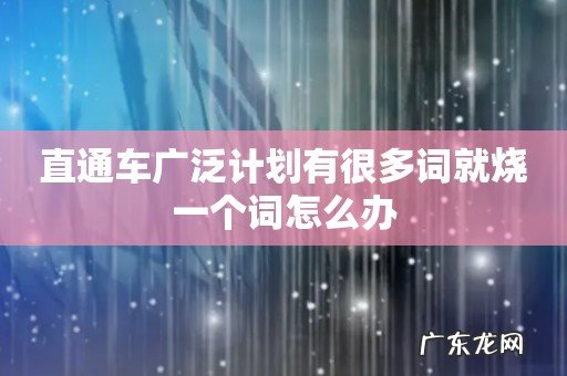 直通车广泛计划有很多词就烧一个词怎么办