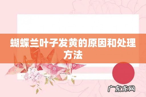 蝴蝶兰叶子发黄的原因和处理方法