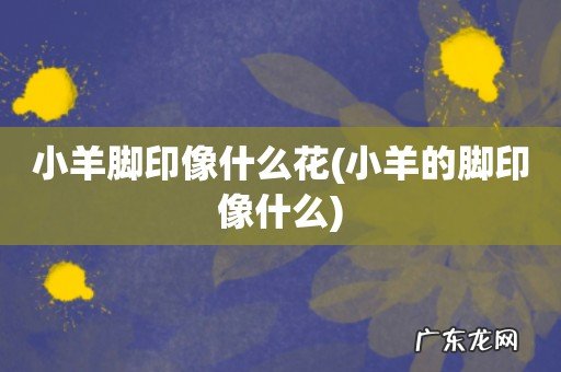 小羊的脚印像什么 小羊脚印像什么花