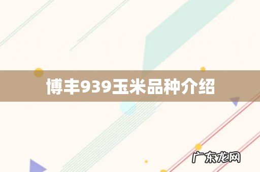 博丰939玉米品种介绍
