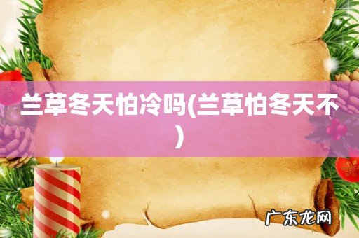 兰草怕冬天不 兰草冬天怕冷吗