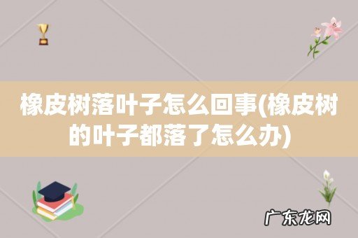 橡皮树的叶子都落了怎么办 橡皮树落叶子怎么回事