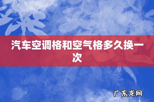 汽车空调格和空气格多久换一次