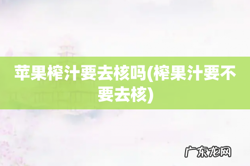榨果汁要不要去核 苹果榨汁要去核吗