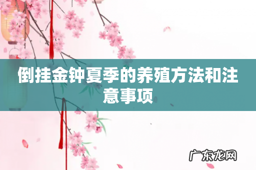 倒挂金钟夏季的养殖方法和注意事项