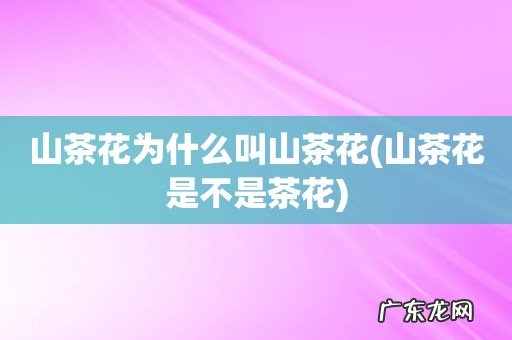 山茶花是不是茶花 山茶花为什么叫山茶花