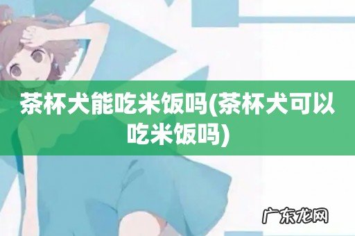 茶杯犬可以吃米饭吗 茶杯犬能吃米饭吗