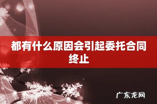 都有什么原因会引起委托合同终止