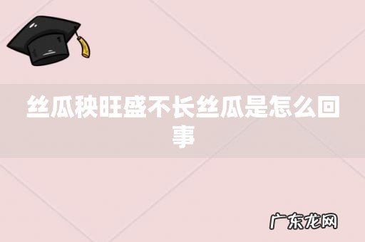 丝瓜秧旺盛不长丝瓜是怎么回事