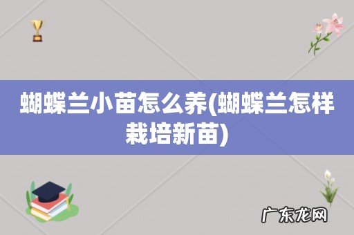 蝴蝶兰怎样栽培新苗 蝴蝶兰小苗怎么养
