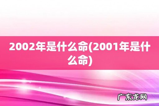 2001年是什么命 2002年是什么命