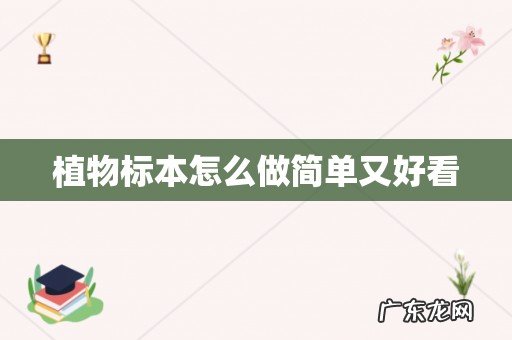 植物标本怎么做简单又好看