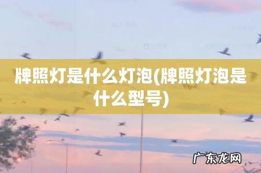 牌照灯泡是什么型号 牌照灯是什么灯泡