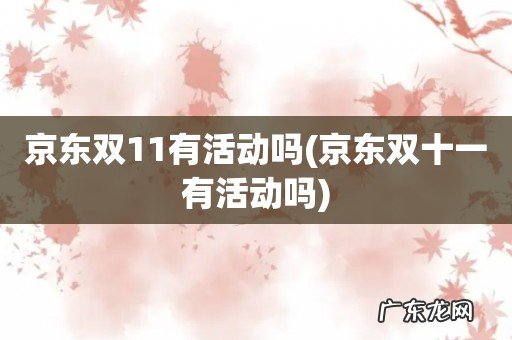 京东双十一有活动吗 京东双11有活动吗