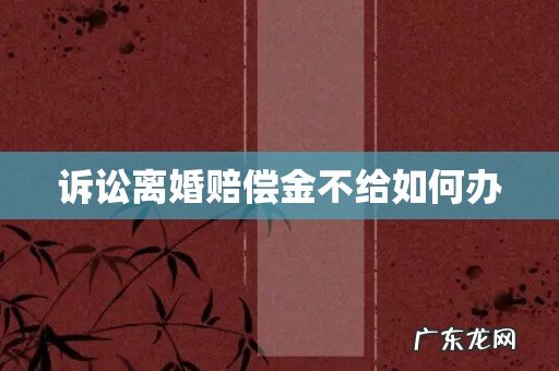 诉讼离婚赔偿金不给如何办