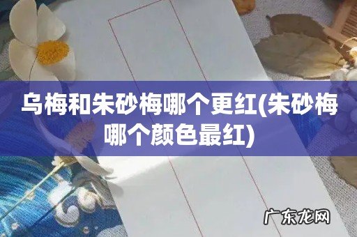 朱砂梅哪个颜色最红 乌梅和朱砂梅哪个更红