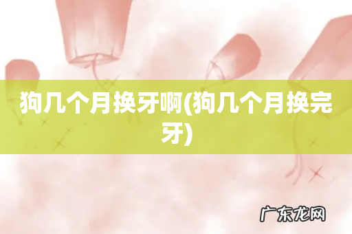 狗几个月换完牙 狗几个月换牙啊