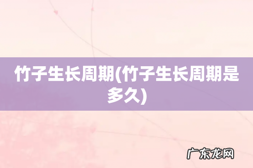 竹子生长周期是多久 竹子生长周期