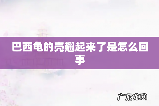 巴西龟的壳翘起来了是怎么回事