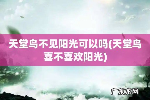 天堂鸟喜不喜欢阳光 天堂鸟不见阳光可以吗