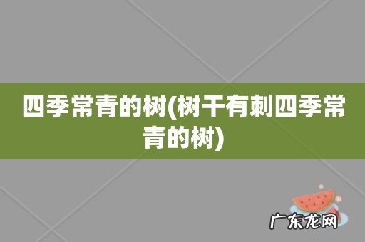 树干有刺四季常青的树 四季常青的树