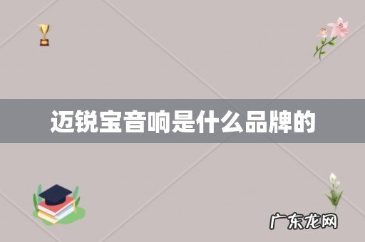 迈锐宝音响是什么品牌的