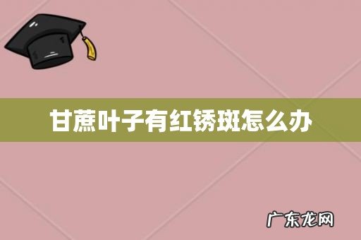 甘蔗叶子有红锈斑怎么办