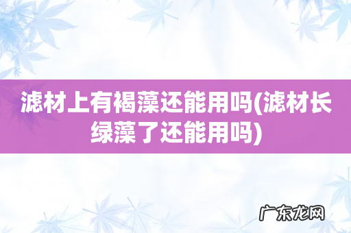 滤材长绿藻了还能用吗 滤材上有褐藻还能用吗