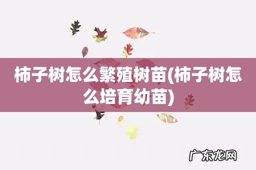 柿子树怎么培育幼苗 柿子树怎么繁殖树苗