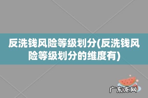 反洗钱风险等级划分的维度有 反洗钱风险等级划分