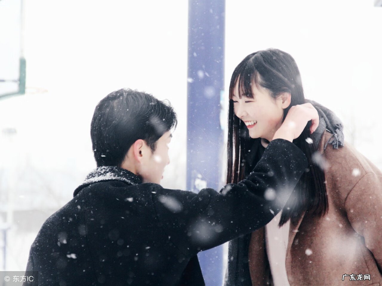 爱情需要具备哪些基础 爱的条件1