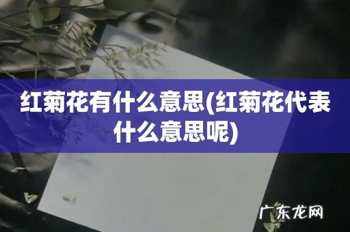 红菊花代表什么意思呢 红菊花有什么意思