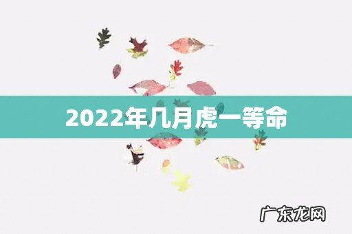 2022年几月虎一等命