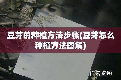 豆芽怎么种植方法图解 豆芽的种植方法步骤