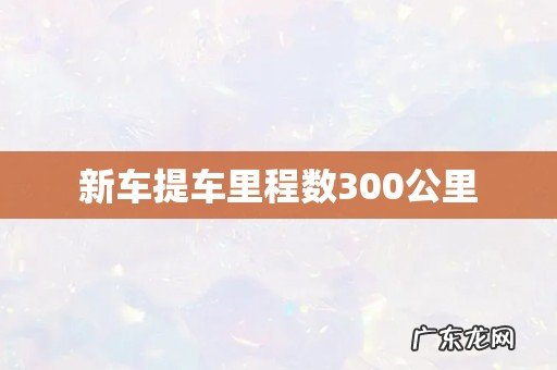 新车提车里程数300公里