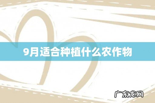 9月适合种植什么农作物