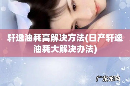 日产轩逸油耗大解决办法 轩逸油耗高解决方法