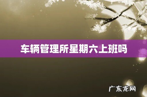 车辆管理所星期六上班吗