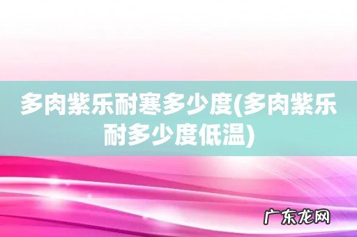 多肉紫乐耐多少度低温 多肉紫乐耐寒多少度