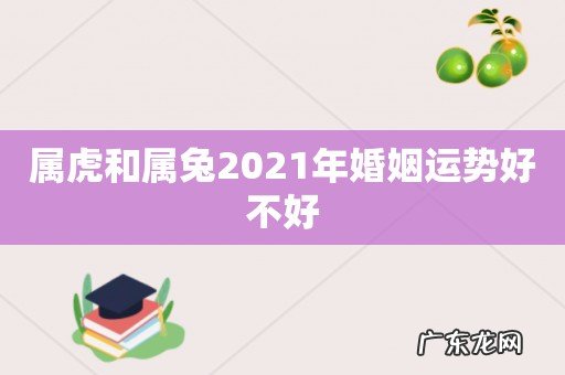 属虎和属兔2021年婚姻运势好不好