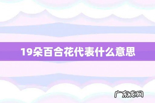 19朵百合花代表什么意思